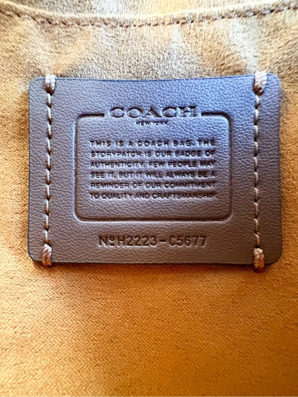 COACH Convertible Backpack In Cornflower Blue C5677